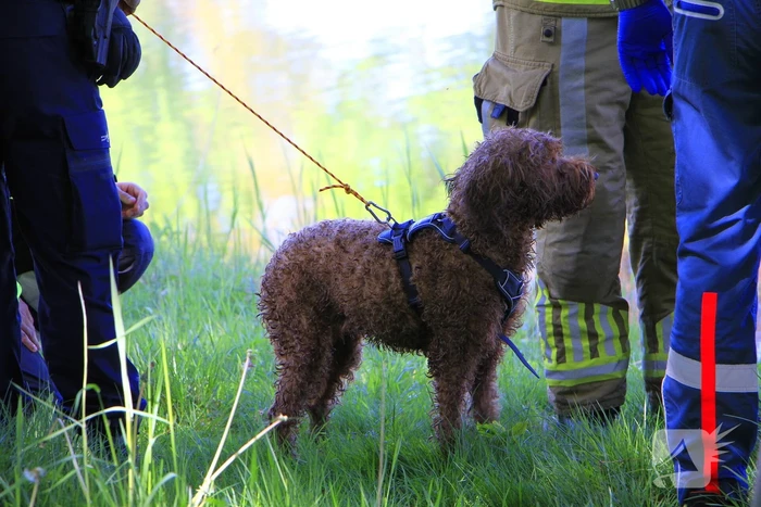 Hond en eigenaar vallen in water