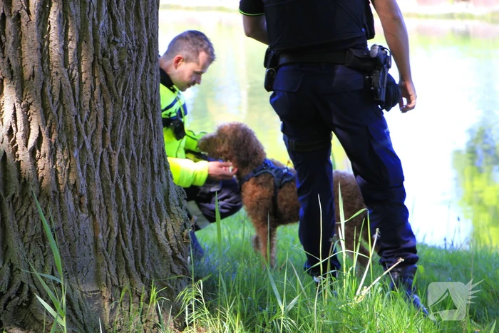 Hond en eigenaar vallen in water