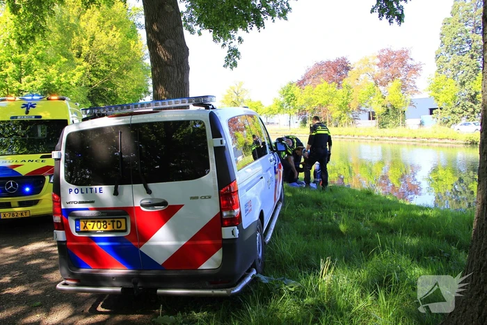 Hond en eigenaar vallen in water