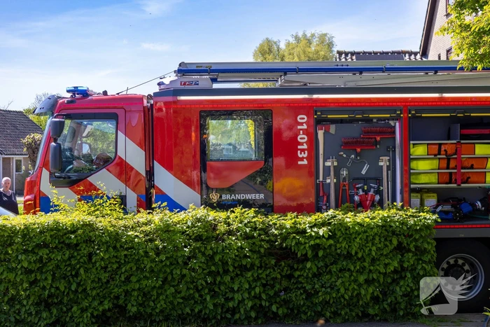 Brandweer redt cavia's uit brandende woning