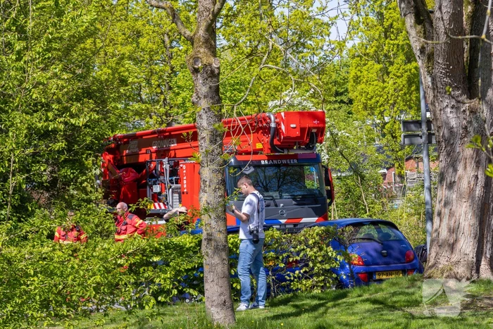 Brandweer redt cavia's uit brandende woning