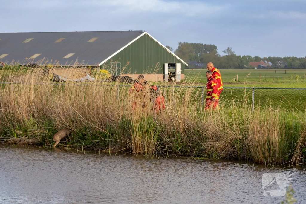 Hoendiep ZZ Nieuws Oostwold 
