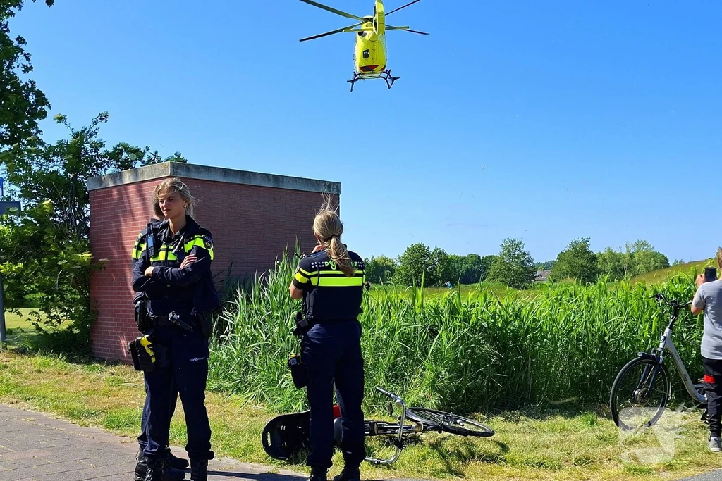 Hollandse Hout Nieuws Lelystad 