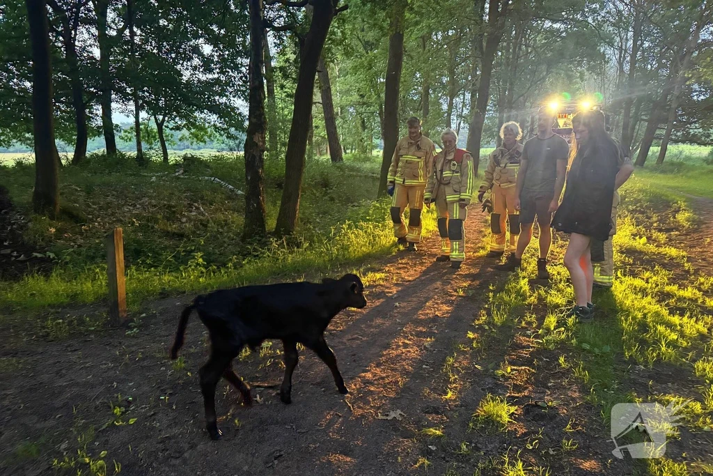 Beekse Peeldijk 112 meldingen Bakel 