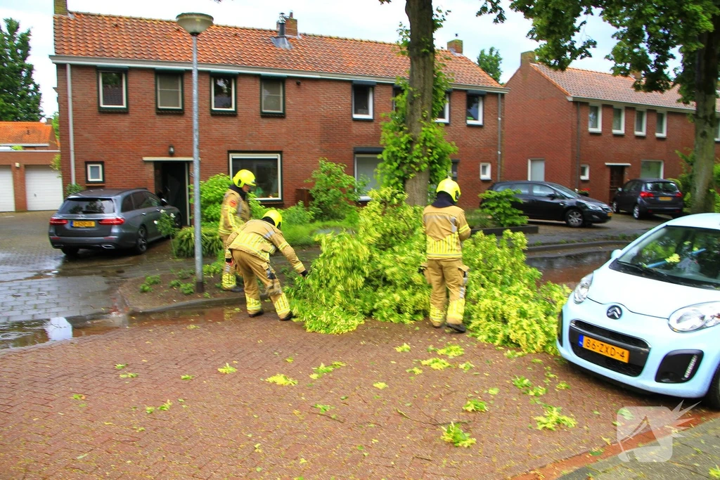 Philips van Hornestraat Nieuws Weert 