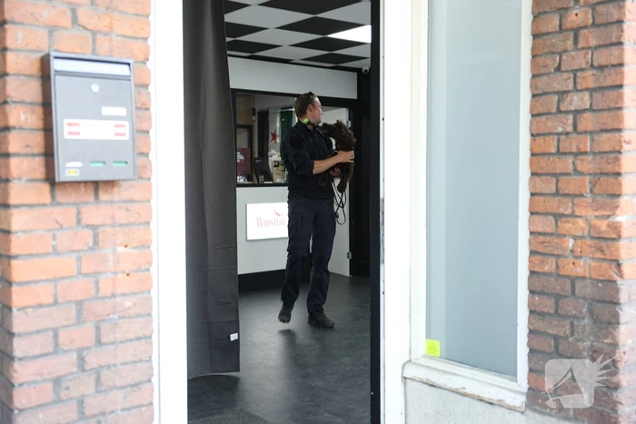 Illegale sigaretten, vapes en verboden medicatie aangetroffen tijdens controle