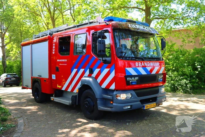 Takken vallen uit boom