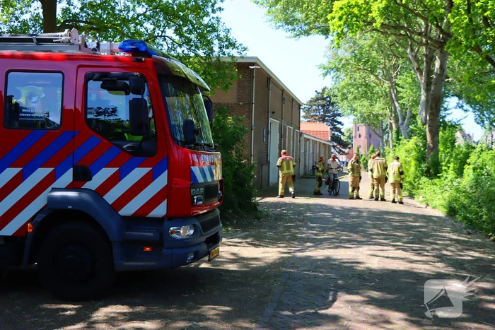 Takken vallen uit boom