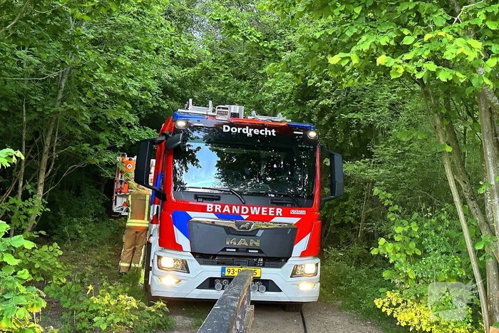 Grote brandweer inzet bij natuurbrand