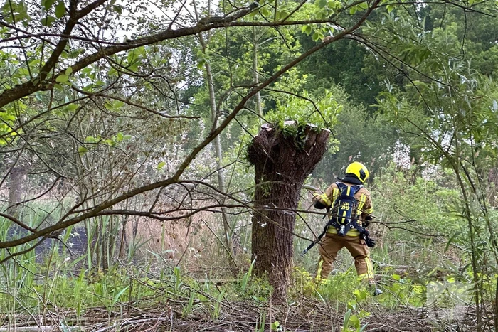 Grote brandweer inzet bij natuurbrand