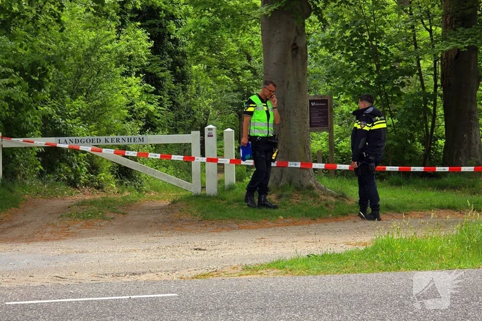 Overleden persoon aangetroffen in bosgebied
