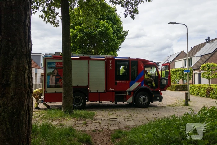 Brand in bosgebied Tilburg snel onder controle