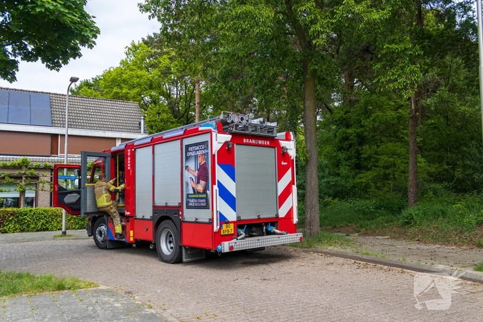 Brand in bosgebied Tilburg snel onder controle