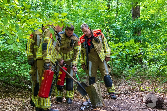 Brand in bosgebied Tilburg snel onder controle