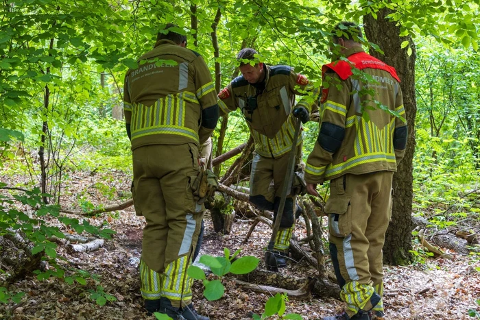Brand in bosgebied Tilburg snel onder controle