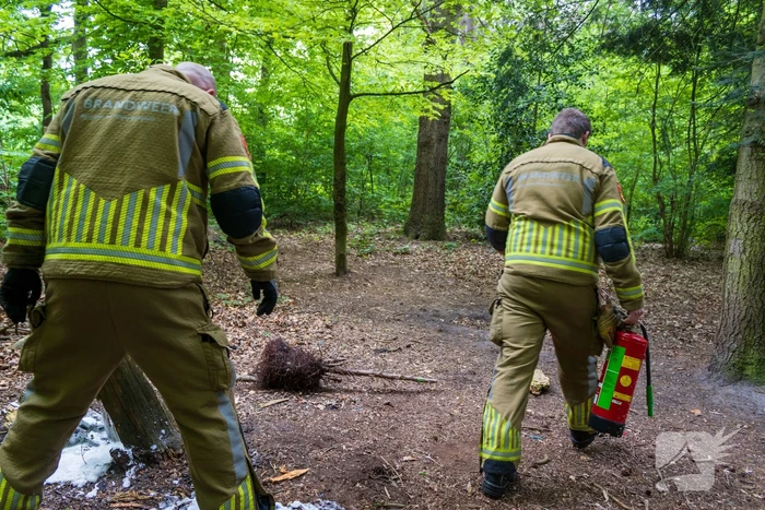 Brand in bosgebied Tilburg snel onder controle