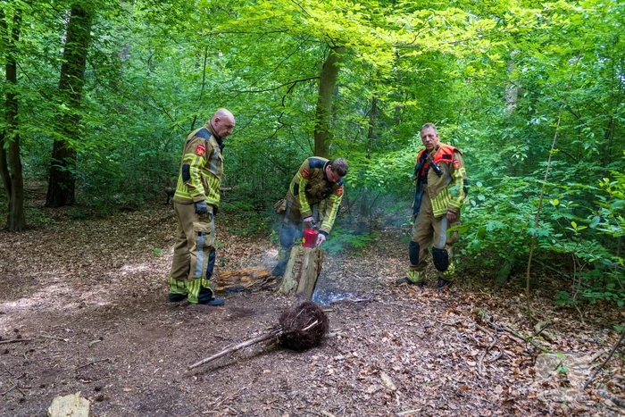 Brand in bosgebied Tilburg snel onder controle