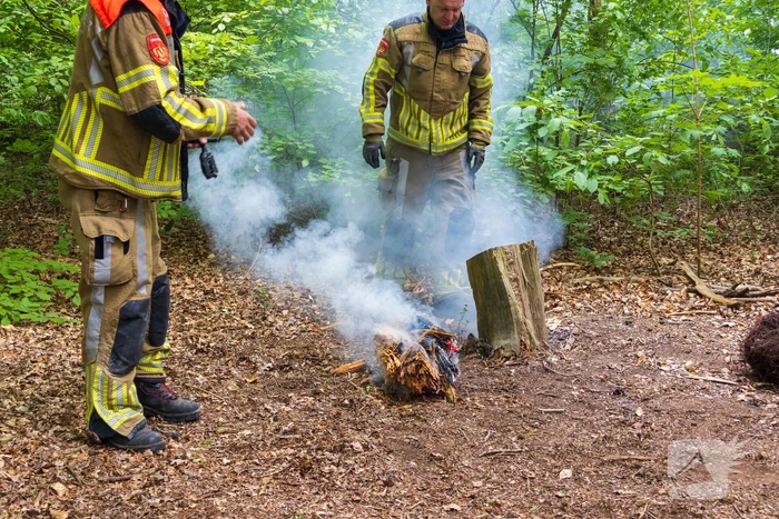 Brand in bosgebied Tilburg snel onder controle