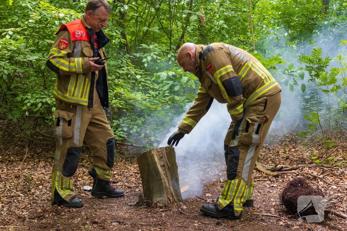 Brand in bosgebied Tilburg snel onder controle