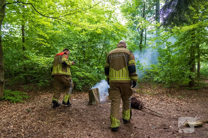 Brand in bosgebied Tilburg snel onder controle