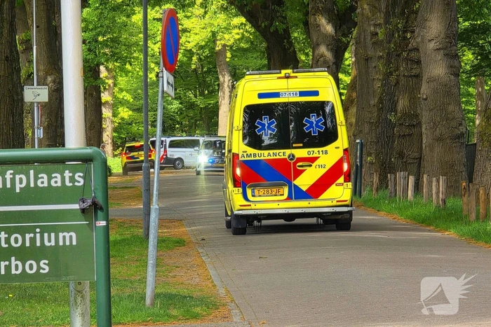 Twee gewonden bij ongeval met paard en wagen