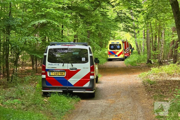 Twee gewonden bij ongeval met paard en wagen