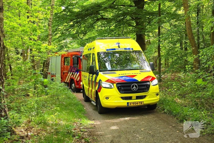 Twee gewonden bij ongeval met paard en wagen
