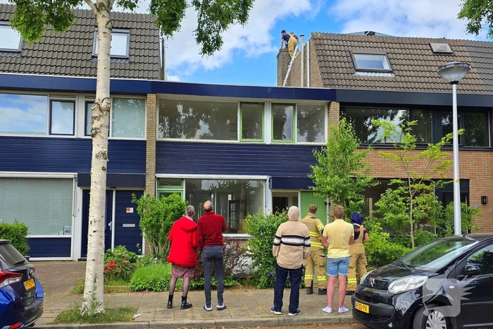 Vogel gevlogen na reddingsactie van brandweer