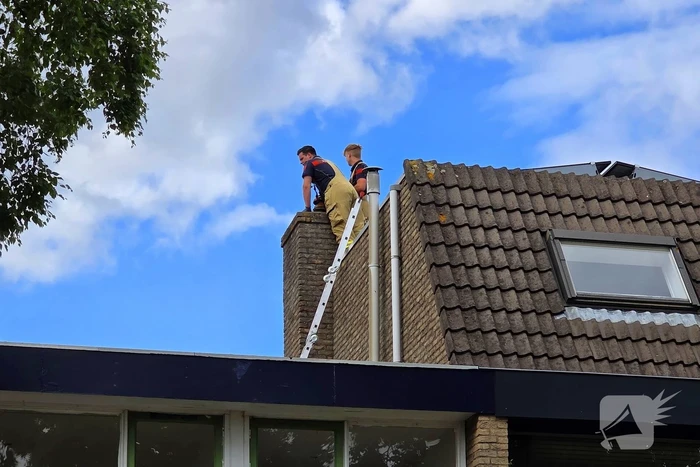 Vogel gevlogen na reddingsactie van brandweer