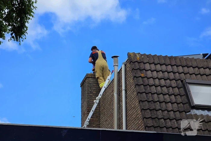 Vogel gevlogen na reddingsactie van brandweer