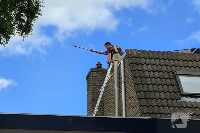 Vogel gevlogen na reddingsactie van brandweer