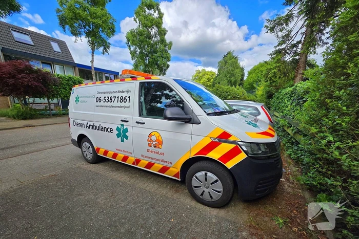 Vogel gevlogen na reddingsactie van brandweer