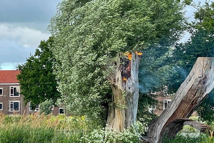 Brandende boom snel gedoofd