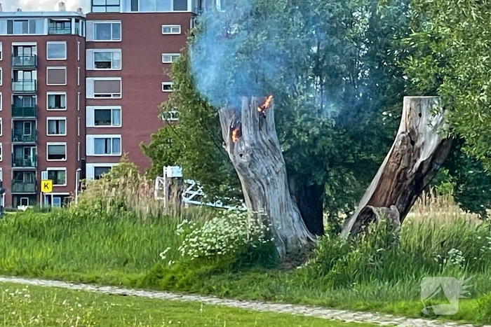 Brandende boom snel gedoofd