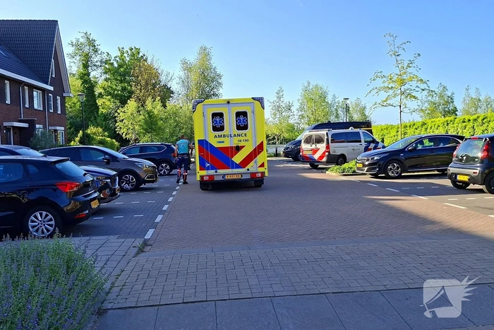 nieuws barkstraat nieuw-lekkerland
