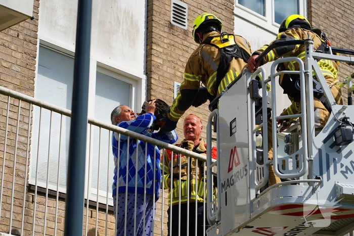 Brandweer haalt kat van nok van dak