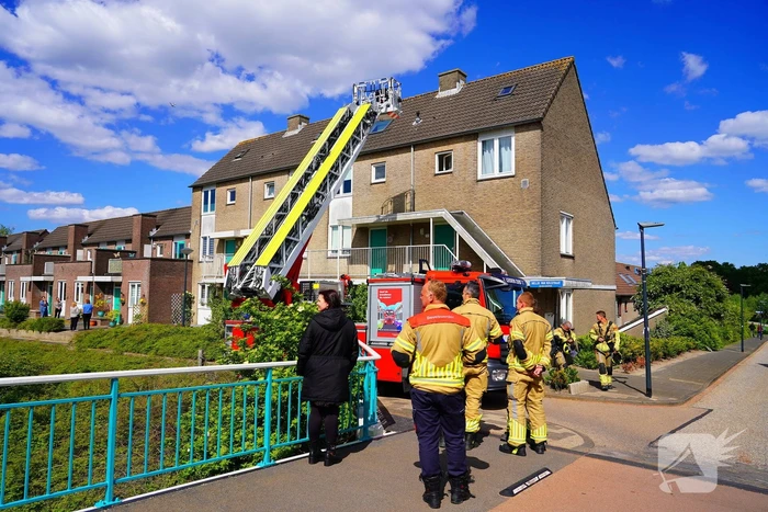 Brandweer haalt kat van nok van dak