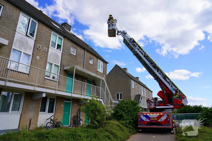 Brandweer haalt kat van nok van dak