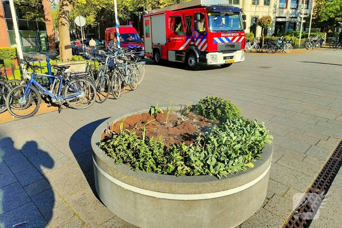 Brandweer ingezet vanwege smeulende bloembak