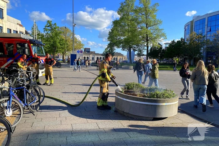 Brandweer ingezet vanwege smeulende bloembak