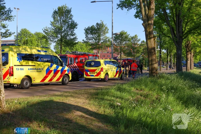 nieuws troelstralaan amsterdam