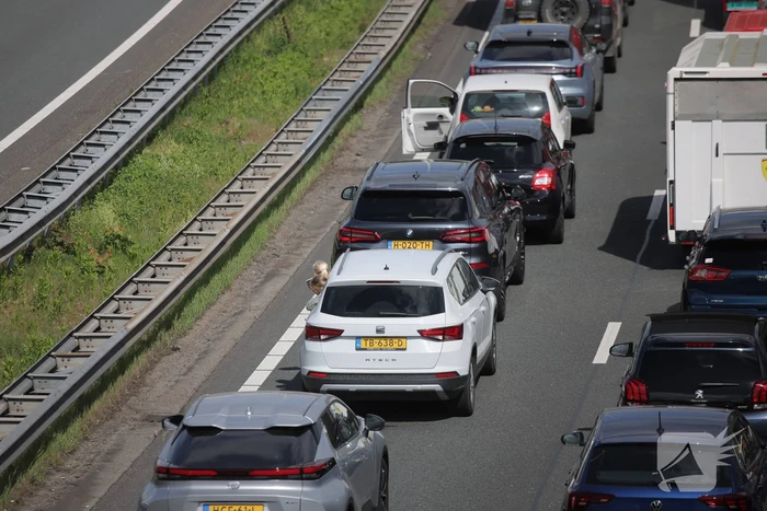 Lange file en stilstaand verkeer door technische storing