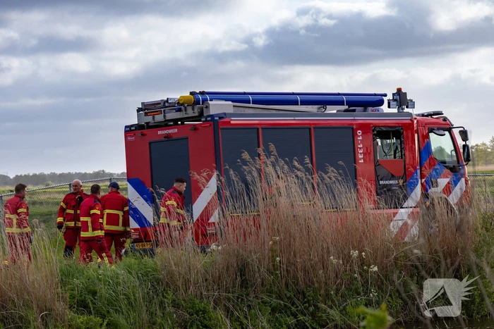 Brandweer ingezet voor hond te water