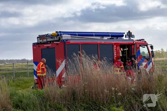 Brandweer ingezet voor hond te water