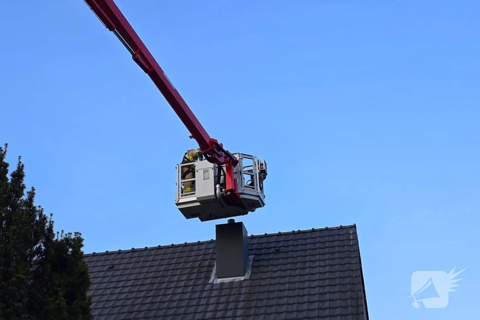 Vogel vast in schoorsteen