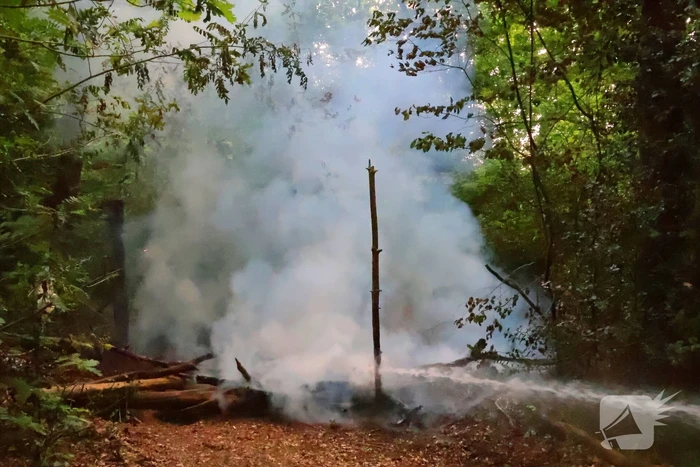 Tevergeefse bluspoging bosbrand