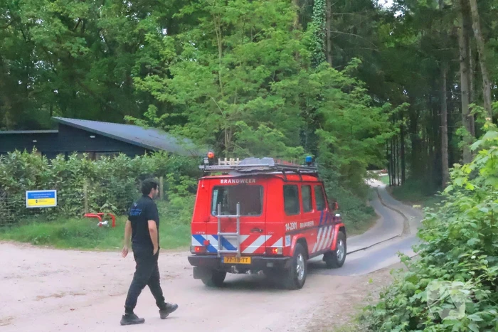 Tevergeefse bluspoging bosbrand