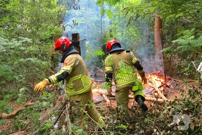 Tevergeefse bluspoging bosbrand