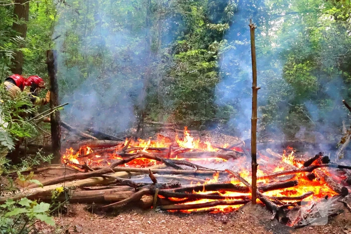Tevergeefse bluspoging bosbrand