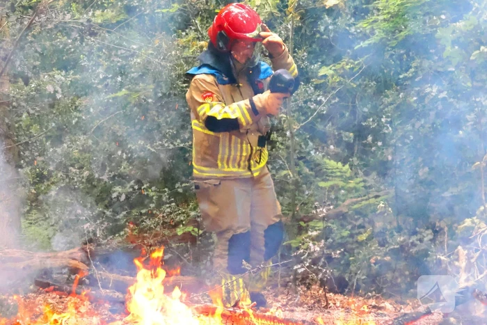 Tevergeefse bluspoging bosbrand